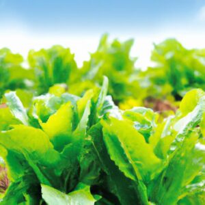 O Impacto Positivo da Produção Sustentável das Plantas na Saúde do Solo