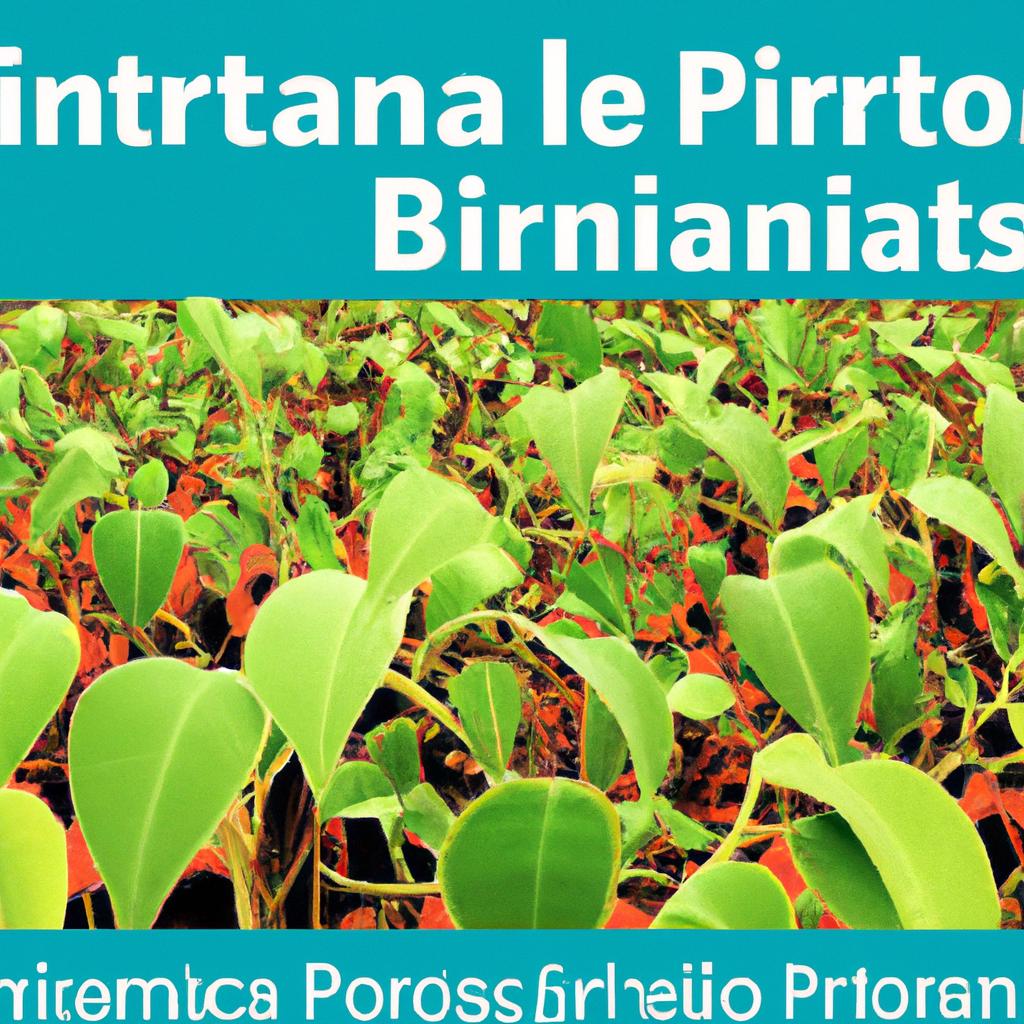 Benefícios dos biofertilizantes naturais para o cultivo de plantas