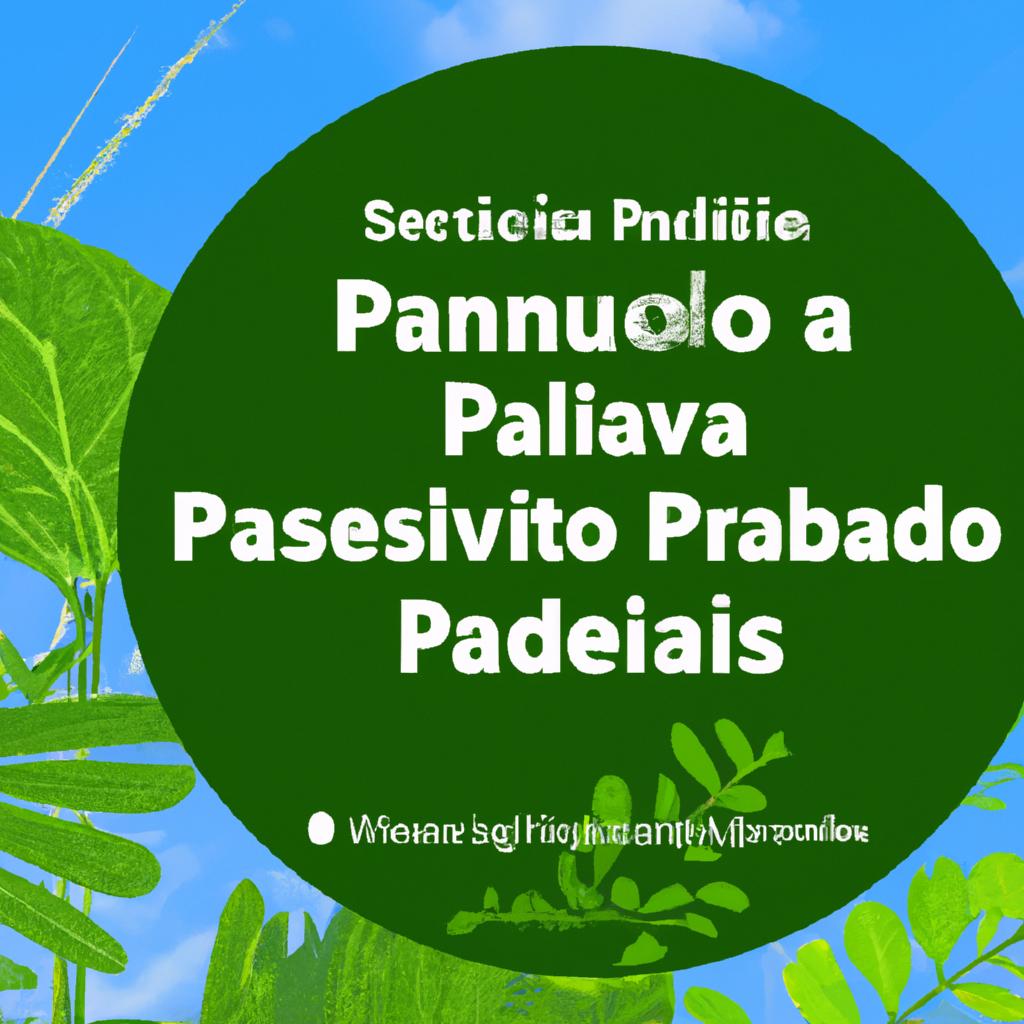 Recomendações para produtores visando a sustentabilidade na produção de plantas