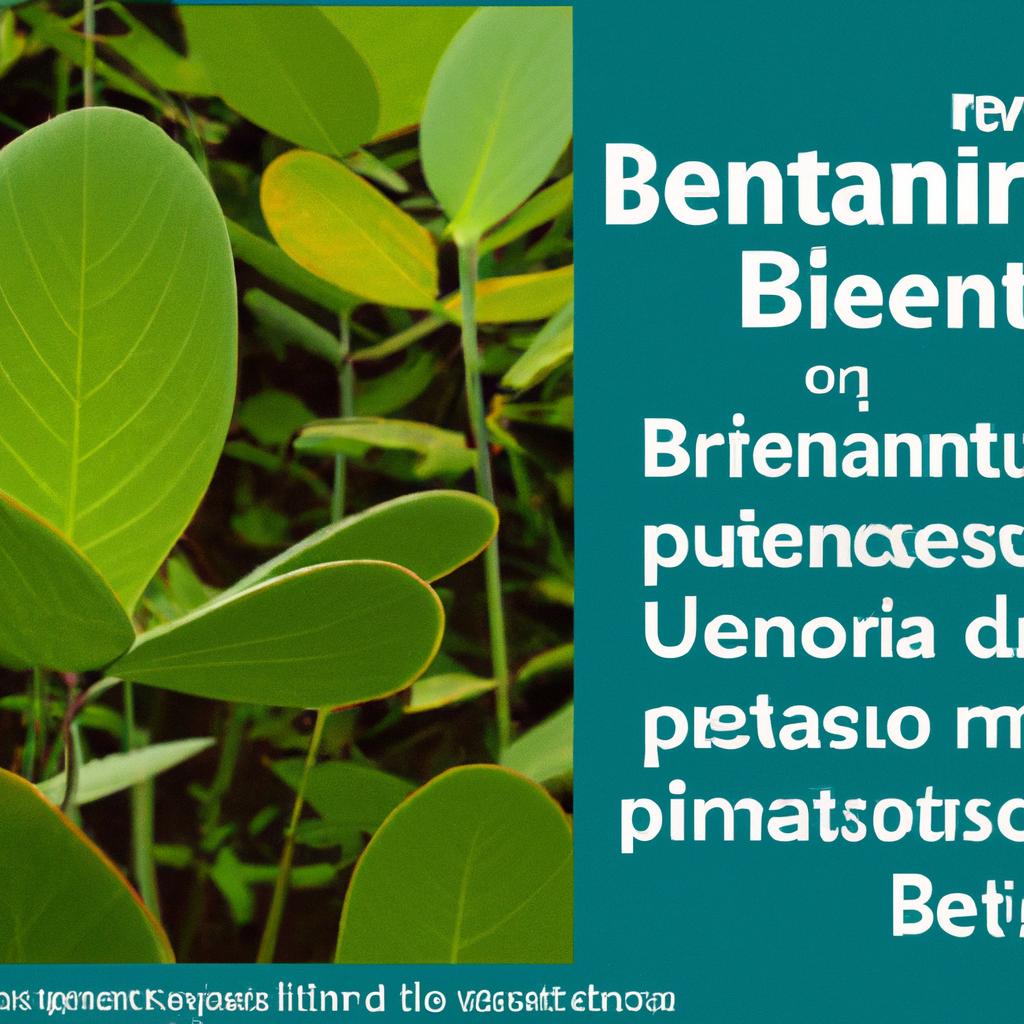 Benefícios da produção sustentável de plantas na restauração ambiental